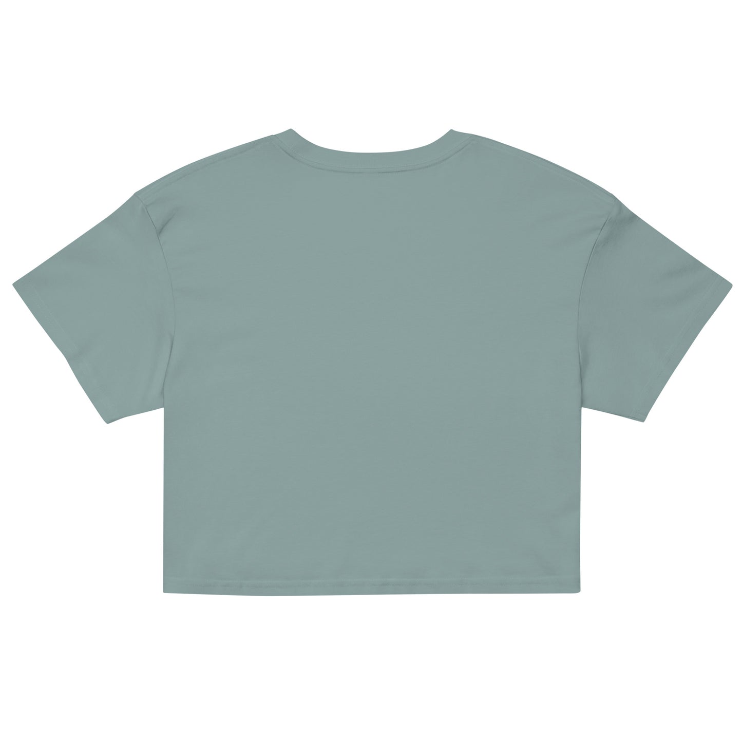 Stylish Women's Crop Top - Starzzyco