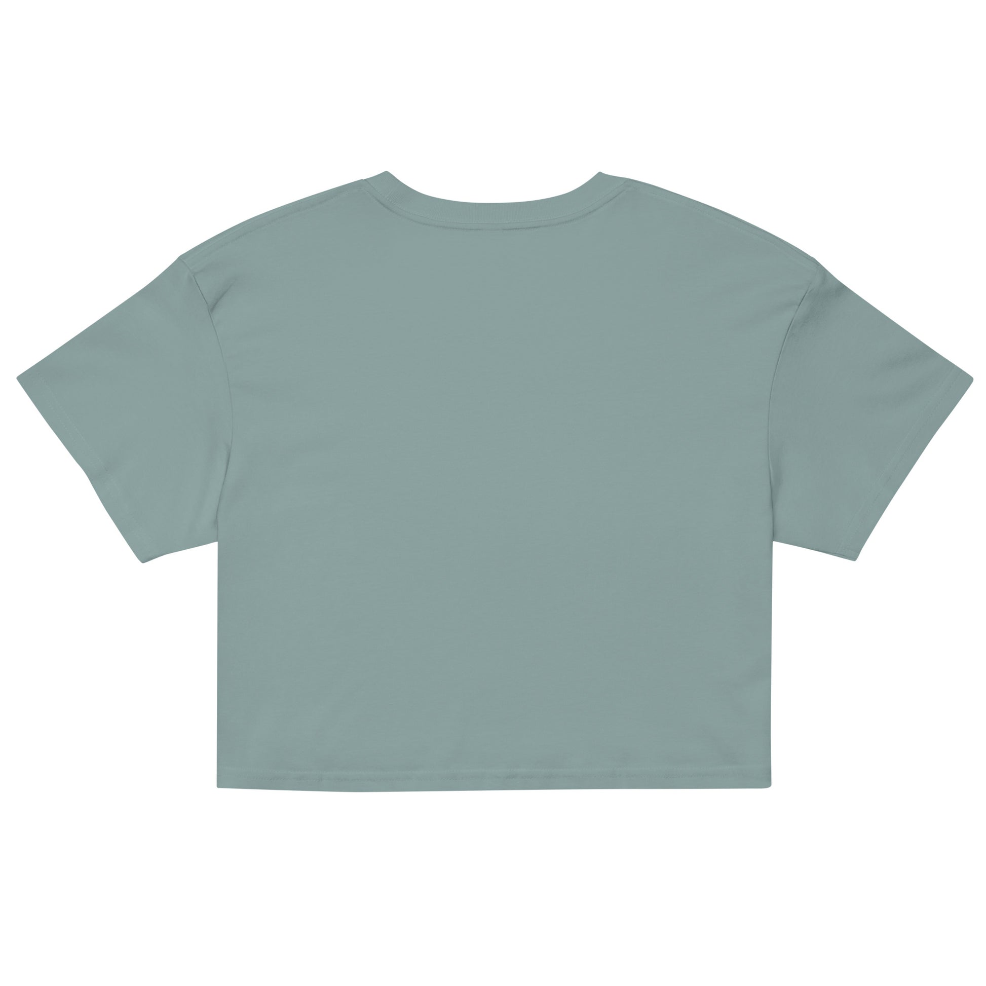 Stylish Women's Crop Top - Starzzyco